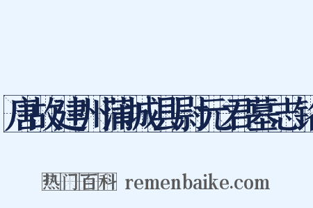 唐故建州蒲城县尉元君墓志铭是什么意思的图片
